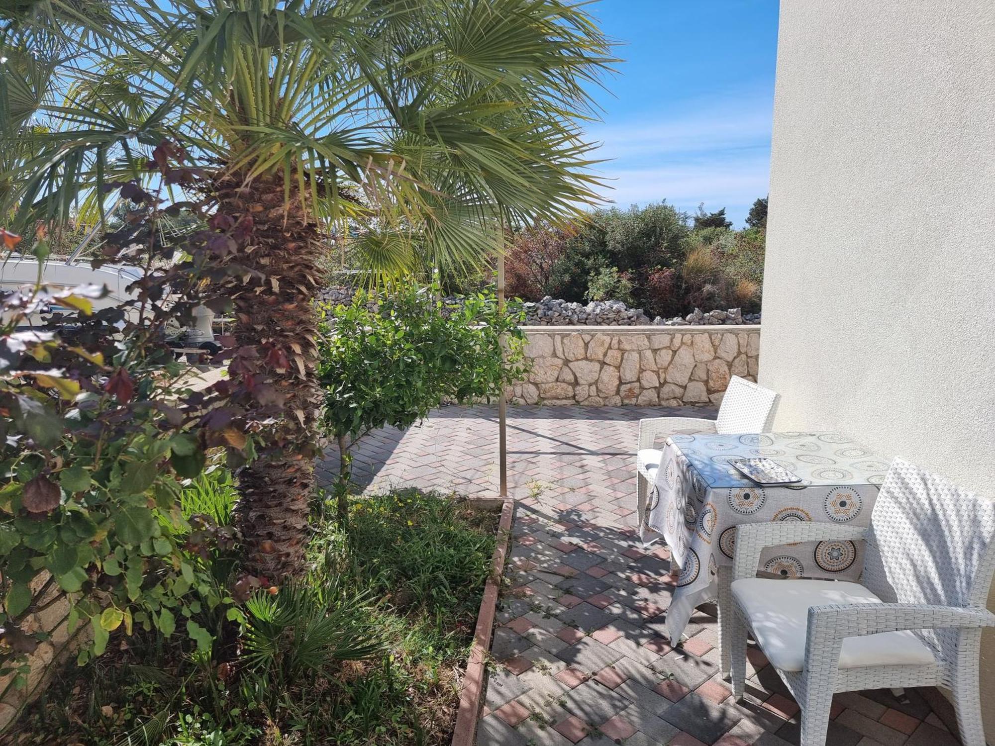The Golden Grotto Apartments Novalja Rom bilde